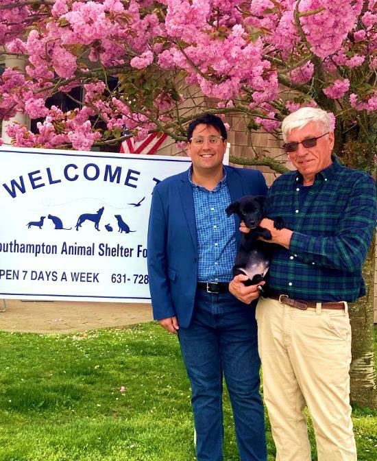 MEDIA ADVISORY - Adopt a Shelter Pet Day 550 x 650